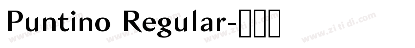 Puntino Regular字体转换 Puntino Regular字体转换